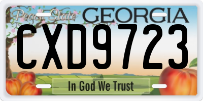 GA license plate CXD9723