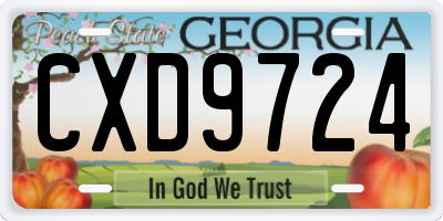 GA license plate CXD9724