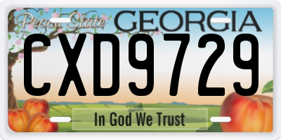 GA license plate CXD9729