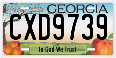 GA license plate CXD9739