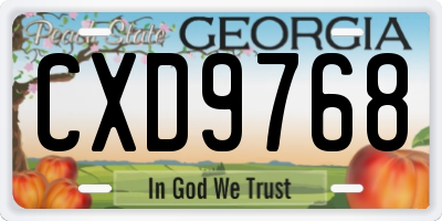 GA license plate CXD9768