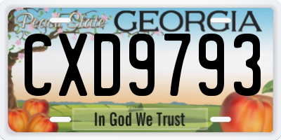 GA license plate CXD9793