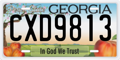 GA license plate CXD9813