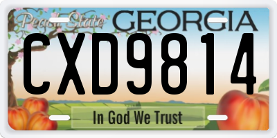 GA license plate CXD9814