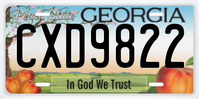 GA license plate CXD9822