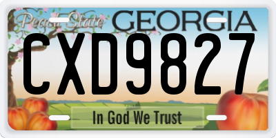 GA license plate CXD9827