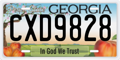 GA license plate CXD9828