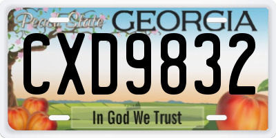 GA license plate CXD9832
