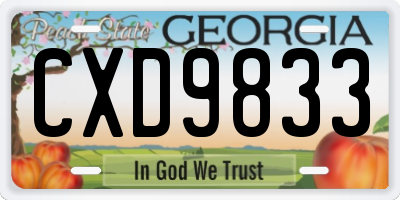 GA license plate CXD9833