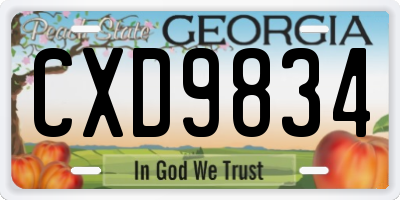 GA license plate CXD9834