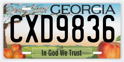 GA license plate CXD9836