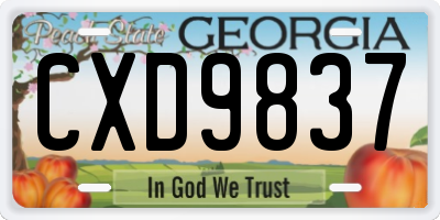 GA license plate CXD9837