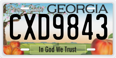 GA license plate CXD9843