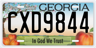 GA license plate CXD9844