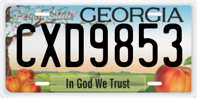 GA license plate CXD9853