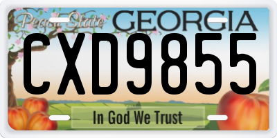 GA license plate CXD9855