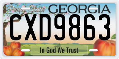 GA license plate CXD9863