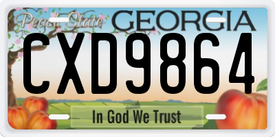 GA license plate CXD9864