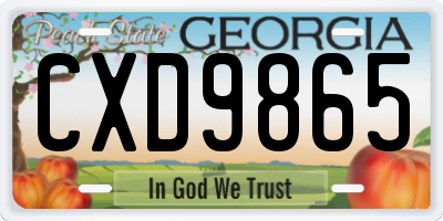 GA license plate CXD9865