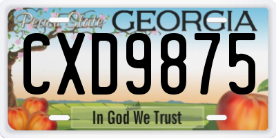 GA license plate CXD9875