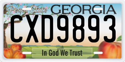 GA license plate CXD9893