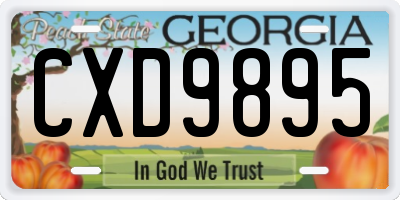 GA license plate CXD9895