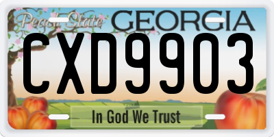 GA license plate CXD9903