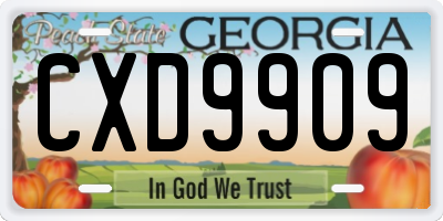 GA license plate CXD9909