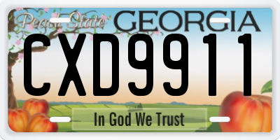 GA license plate CXD9911