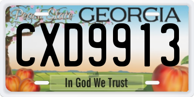 GA license plate CXD9913
