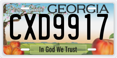 GA license plate CXD9917
