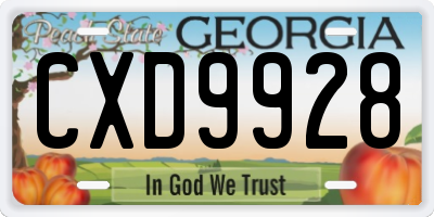 GA license plate CXD9928
