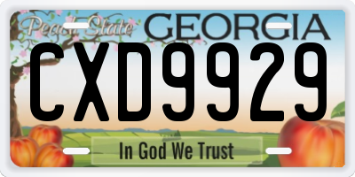 GA license plate CXD9929
