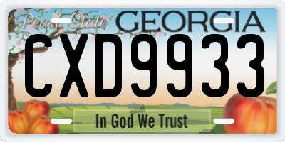 GA license plate CXD9933