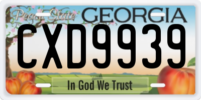 GA license plate CXD9939