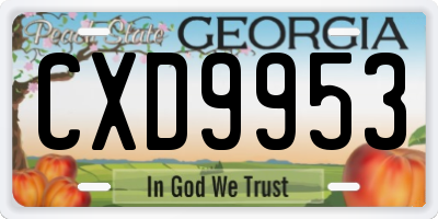 GA license plate CXD9953