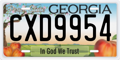 GA license plate CXD9954