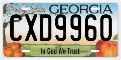 GA license plate CXD9960