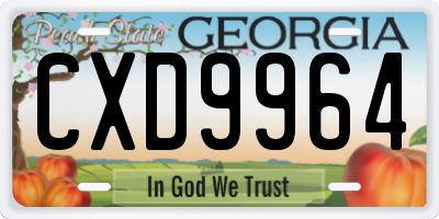 GA license plate CXD9964
