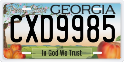 GA license plate CXD9985