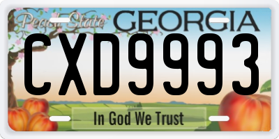 GA license plate CXD9993