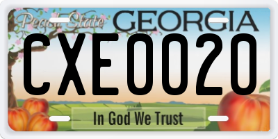 GA license plate CXE0020