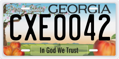 GA license plate CXE0042