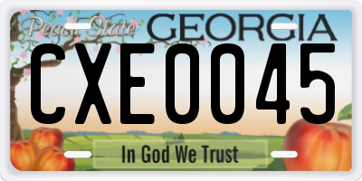 GA license plate CXE0045