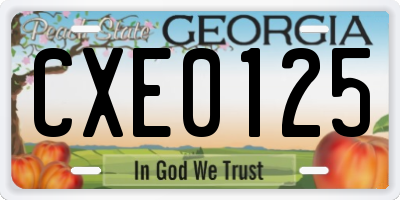 GA license plate CXE0125