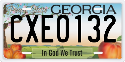 GA license plate CXE0132