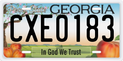 GA license plate CXE0183