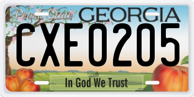 GA license plate CXE0205