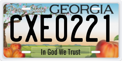 GA license plate CXE0221