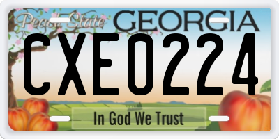 GA license plate CXE0224